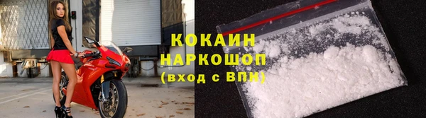 мдпв Богданович