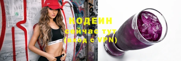 мдпв Богданович