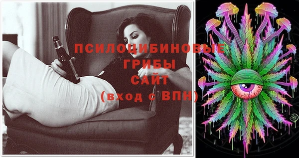 мдпв Богданович