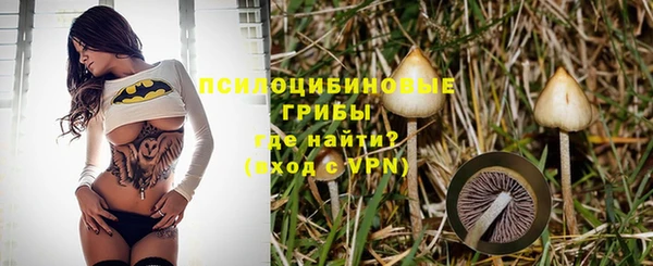 мдпв Богданович