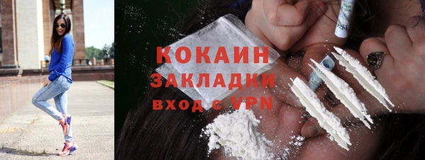 мдпв Богданович
