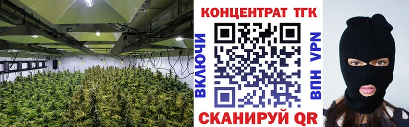 дарнет шоп  Торопец  Дистиллят ТГК Wax 