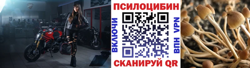 Галлюциногенные грибы Cubensis  MEGA ссылки  Торопец 
